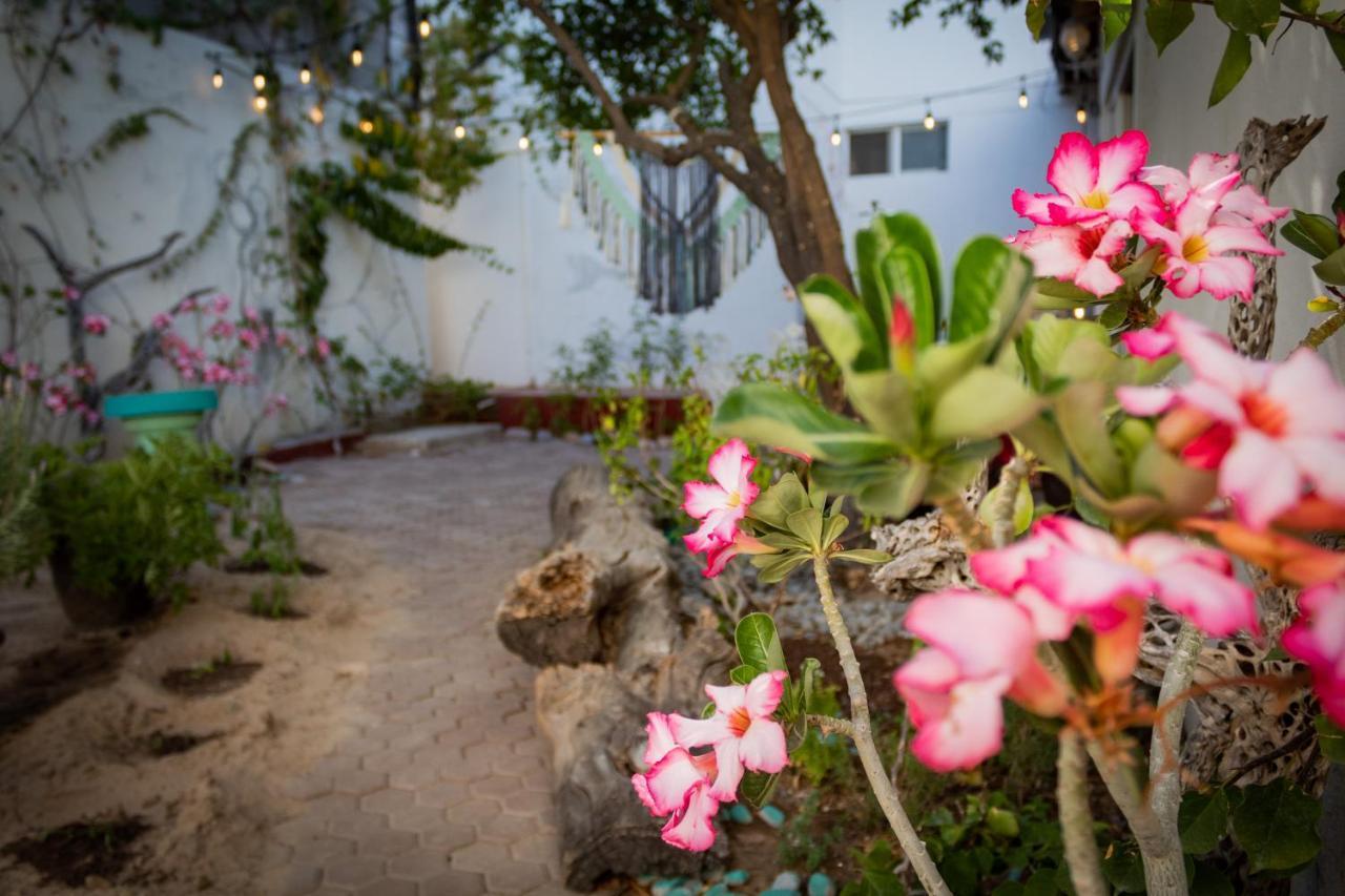 Adventure Apartment La Paz